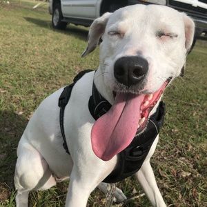 Meet your Posher, Caleb